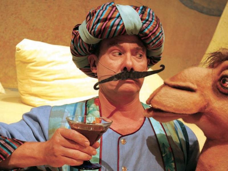 Ali babas kameler